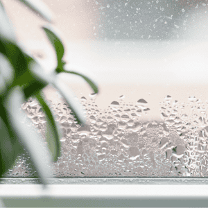 Close up of Condensation on window