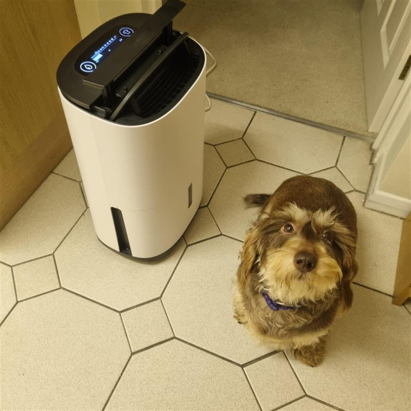 MeacoDry Arete Two Dehumidifier Air Purifier UGC customer photo with little dog