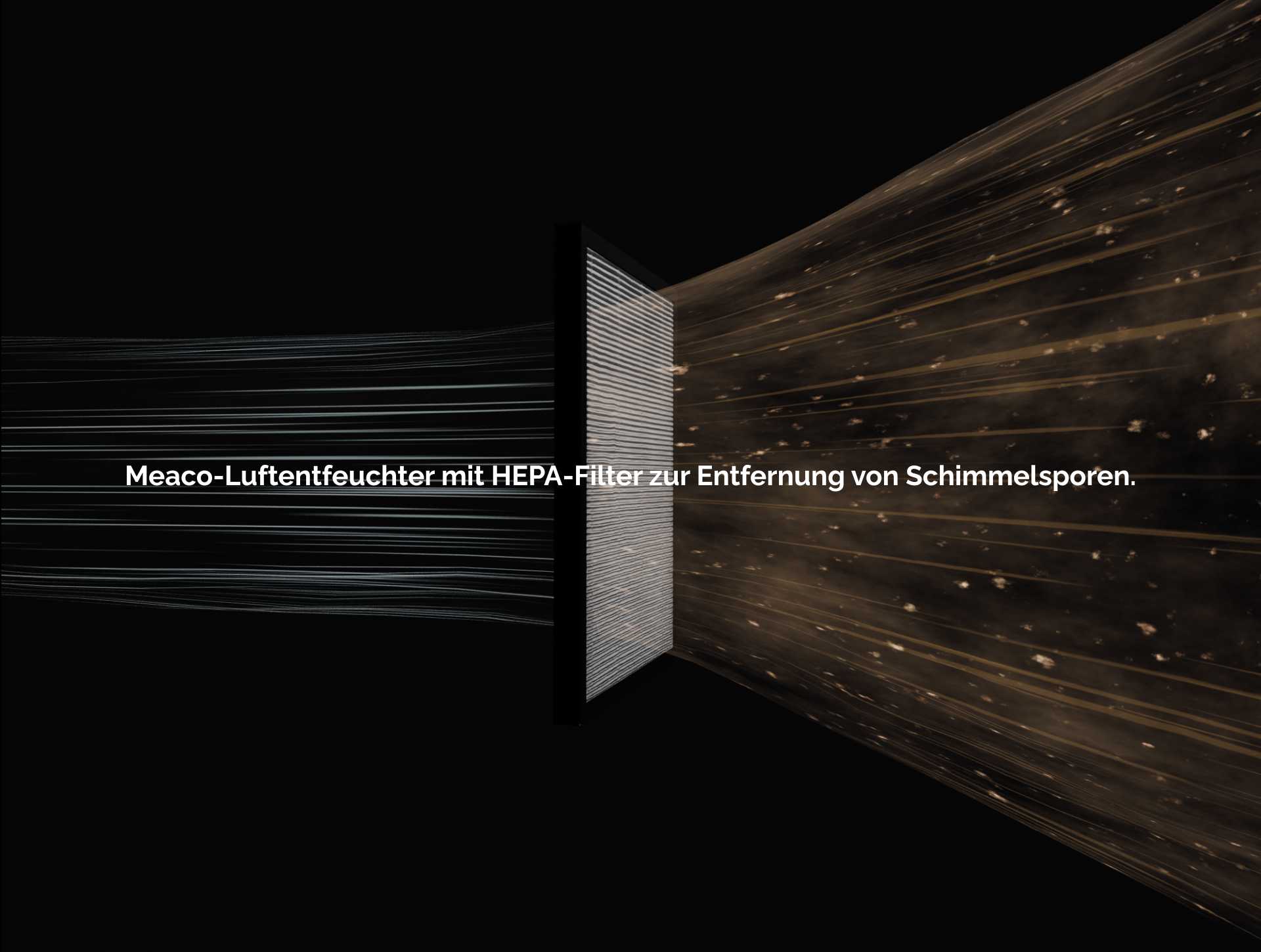 Meaco-Luftentfeuchter mit HEPA-Filter zur Entfernung von Schimmelsporen.